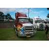 … and the Best Cat award went to Douglas Transport.