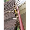 cleaning gutters and spouts tips