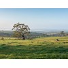 Highland Valley SA