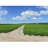 Property of the week Kinagin Gallery 2