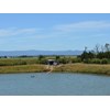 Property of the week: Strawberry fields in Catani