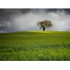 Climate Australia