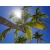 ‘Tropics’ may conjure images of sun-kissed islands, but the expanding tropical zone could bring drought and cyclones further south