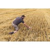 0158 Amazone Cenius 3002 mulch cultivator
