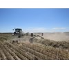 1898 Krone Swadro TC 880 Plus hay rake working
