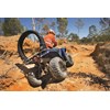 1 ATV lifeguard roll bar