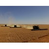 Three 60ft Midwest Durus harvest draper platforms cutting a massive 180ft of wheat in one pass, in Western Australia.