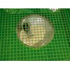 Amazone ZA TS Profis Hydro spreader grating