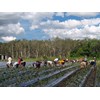 The Australian farming industry is worried about the impact that increasing tax on working backpackers will have on the availability of seasonal workers.