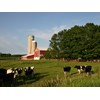 The Australian dairy industry could consider a regulation model like that in Canada.
