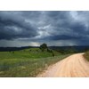The Bureau of Meteorology (BOM) predicts a 50 percent chance of a La Nina weather pattern bringing rain to Australian farms this spring