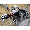 The Lely Calm Control calf feeder provides an easy way to keep your calves fed and healthy.