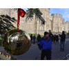 Kaeser bauble hanging from tree