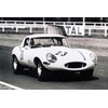 bob jane jaguar e type 8