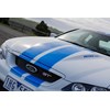 ford falcon cobra bf bonnet