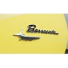 barracuda badge
