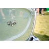 northern beaches muscle car show 59