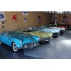 ford thunderbirds