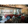cobra barn find