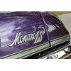 holden hq monaro ls badge