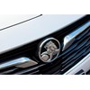 holden commodore zb badge