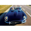 jaguar etype