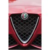 alfa romeo giulia qv grille 2