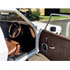HZ One Tonner interior door