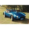 Graham Ullock's Cobra replica #1