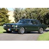 Ford Mustang 800