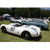 Australian TYP 901 Register display 2014