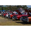 Isabella and Marcus car show 31