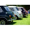 Minis in the Gong 87