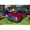Northern Beaches Muscle car 12