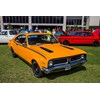 Northern Beaches Muscle car 43