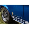 Northern Beaches Muscle car 49