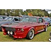 5th Isabella and Marcus Fund Classic Car Day