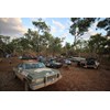 variety bash 31