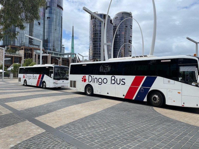 Kinetic acquires Dingo Bus to expand into WA