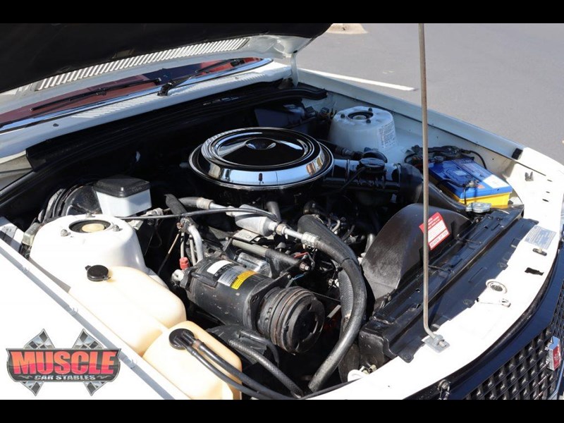 hdt brock commodore 862486 019