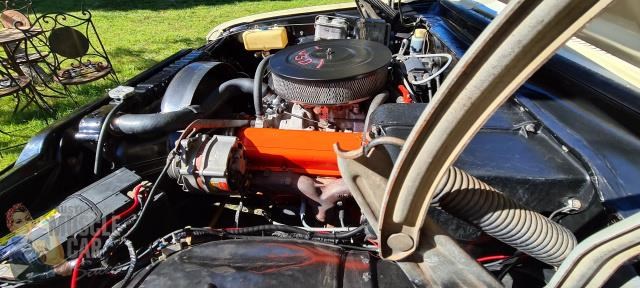 holden belmont 862818 083