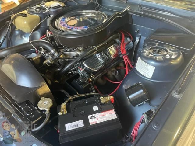 hdt commodore 863495 051