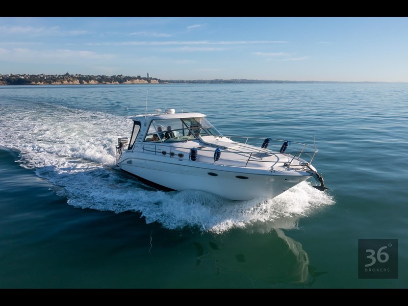 sea ray 42 865295 021