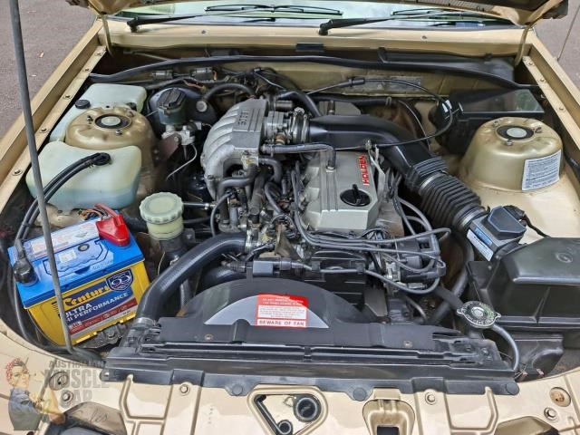 holden commodore 868449 025