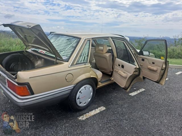 holden commodore 868449 055