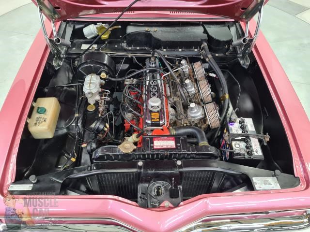 holden torana 869210 039