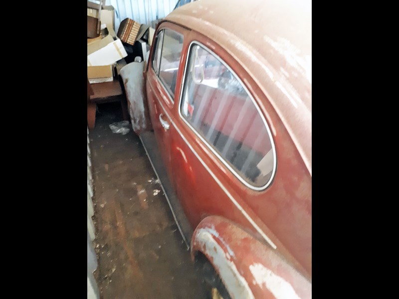 volkswagen beetle 872056 001