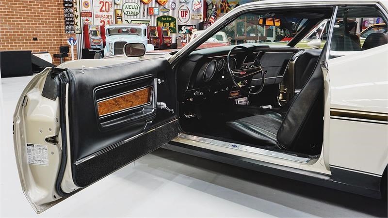 ford mustang 872867 007