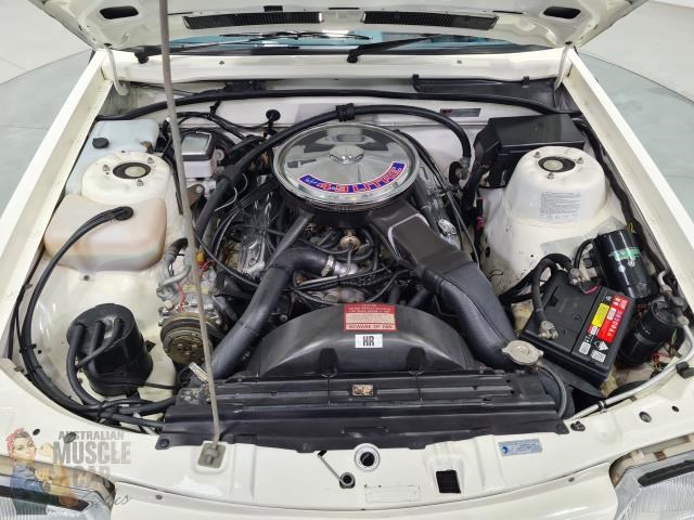 hdt commodore 873178 051