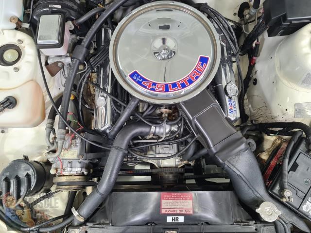 hdt commodore 873178 055